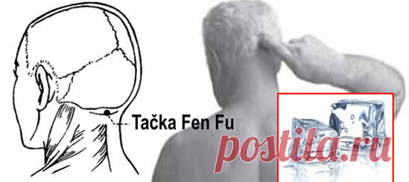 TAČKA FEN FU: Podmlađuje cijeli organizam. Neverovatno, ali istinito! Ljudsko tijelo posjeduje jedno potpuno jedinstveno mjesto. Ako redovno stavljate na njega kocku leda, organizam počinje da se podmlađuje, mnoge bolesti nestaju, a vi ćete uvijek biti zdravi, raspoloženi i puni energije.    &nbsp;    Ove se mjesto nalazi