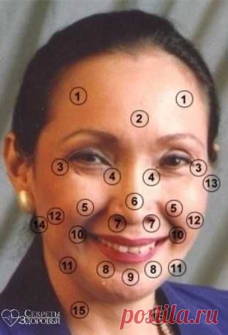 Планеты на Вашем лице
Наука о физиогномике, как и многие другие науки о человеке, связи его внешних и внутренних черт возникла очень давно и жива до сих пор, потому что если и не всегда, то очень часто подтверждает свою правдивость.
Овал лица, форма лба, нос, губы и характер человека имеют практически прямую связь между собой - генетически и даже видоизменяясь в процессе жизни. .jpg (311×456)
