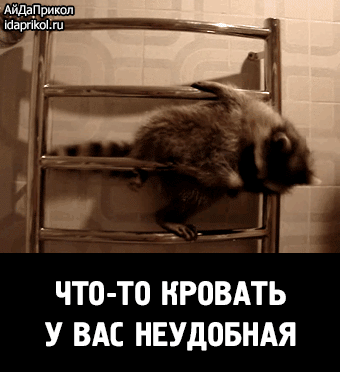 Мой Мир@Mail.Ru