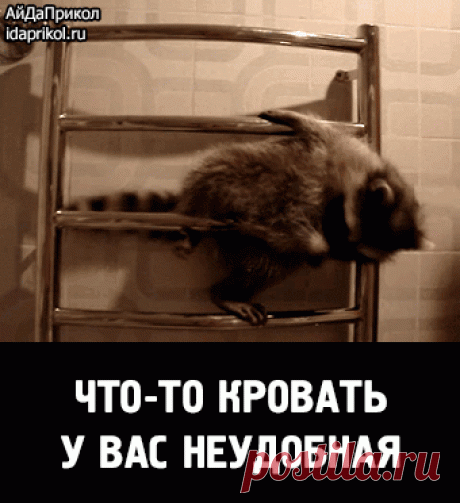 Мой Мир@Mail.Ru