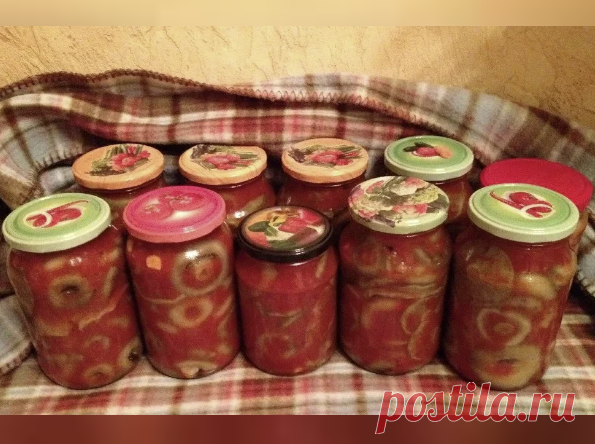 Король жары и засухи - груздь осиновый (он же тополевый, он же ивовый) Стоит ли собирать и как правильно готовить | Книга грибов | Дзен