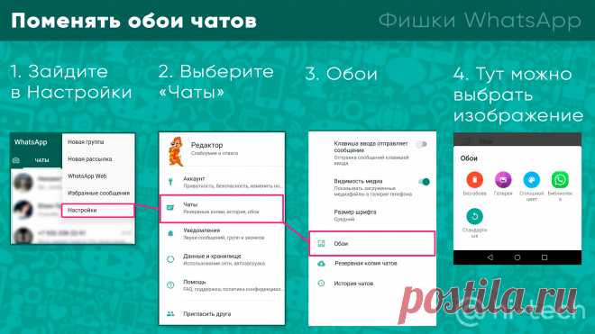 WhatsApp стал удалять пользователей из чатов из-за ошибки - Hi-Tech Mail.ru