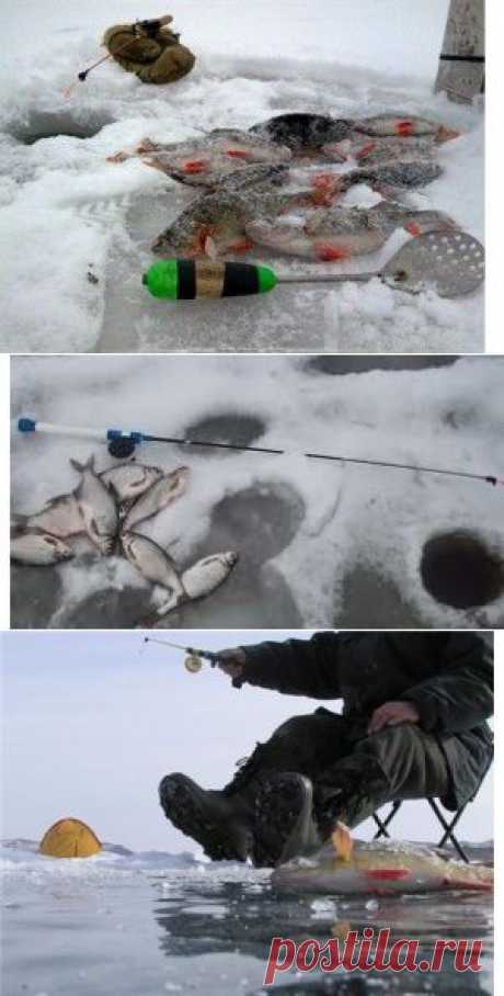 Зимняя ловля на малый подтяг | SilverPike.ru