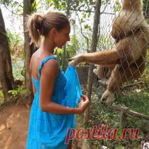 Прикольные фотографии - МирТесен