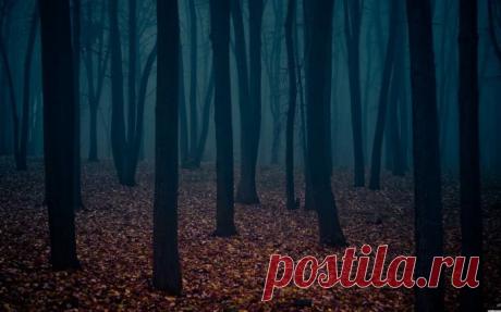 Страх и необъяснимый ужас в десятке самых проклятых мест России — Болтай