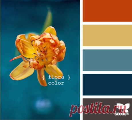 Цветы, деревья — источник вдохновения! | BepHuK собирает друзей