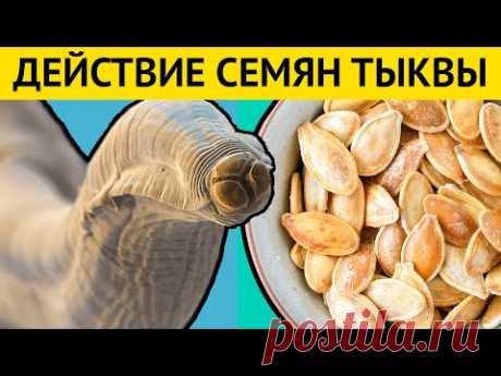 Даже одно СЕМЕЧКО ТЫКВЫ оказывает НЕОБРАТИМОЕ ДЕЙСТВИЕ на организм