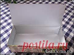 Как вырастить коренастую рассаду