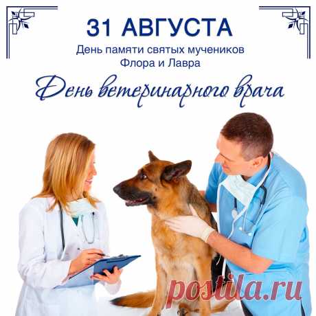 С Днём ветеринарного работника!
Желаем вам терпения, мира,
Желаем солнца и тепла.
И чтоб невидимая сила
Вас к счастью радостно вела.