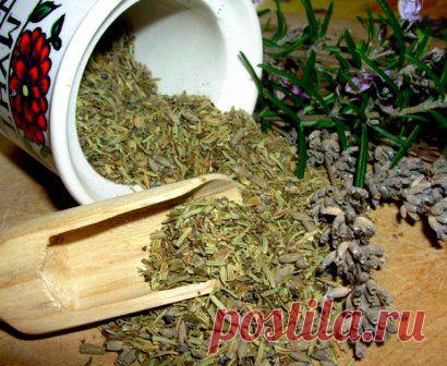 Травяные шампуни для волос: можно ли сделать самостоятельно? | Красота и здоровье