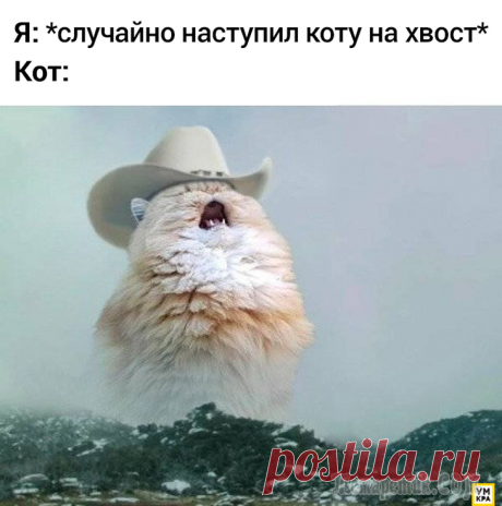 17 смешных мемов с кошками, которые как нельзя лучше передают их придурковатую натуру Как будто кошки сами по себе не являются смешными, люди ещё решили наделать про них мемов. В любом случае, мемов много не бывает! 
По интернету гуляет множество смешных мемов про кошек, и мы подумали,...