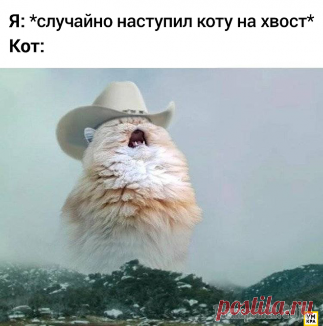 17 смешных мемов с кошками, которые как нельзя лучше передают их придурковатую натуру Как будто кошки сами по себе не являются смешными, люди ещё решили наделать про них мемов. В любом случае, мемов много не бывает! 
По интернету гуляет множество смешных мемов про кошек, и мы подумали,...
