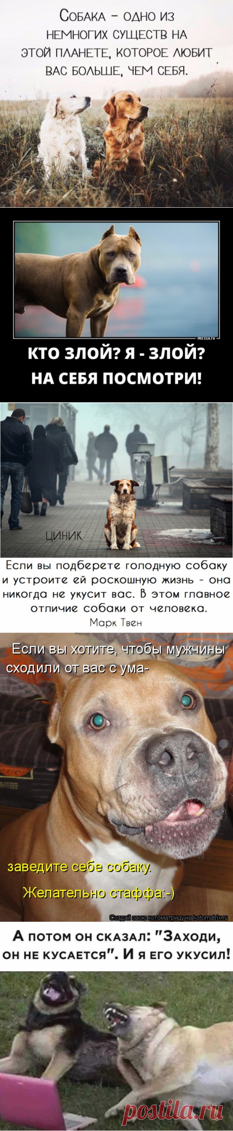 Мой друг- собакин)) собачий пост и кое-то еще!