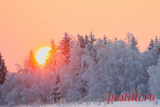 Мой Мир@Mail.Ru