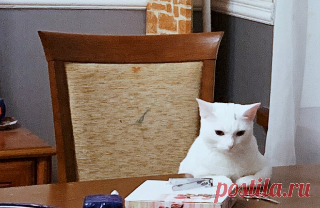 Как задавать вопросы руководителю о зарплате, чтобы ее увеличить | Движение вверх | Яндекс Дзен