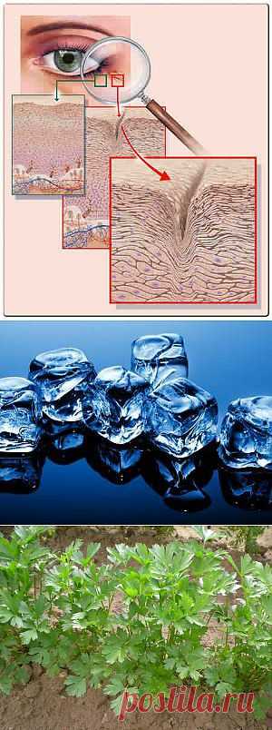 «Ну, неужели я уже начала стареть?».Морщины вокруг глаз - Бабушкины рецепты - ХОЧЕШЬ БЫТЬ ЗДОРОВЫМ? БУДЬ! - Всё обо ВСЁМ... - В гостях у Бабухи-Ягухи...