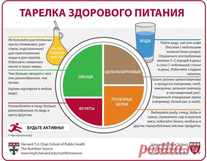 Гарвардская школа общественного здравоохранения опубликовала правила здорового питания на русском языке | Мир женщины