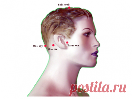 4 точки на голове, которые помогут снизить кровяное давление без таблеток | Доброго здоровья! | Яндекс Дзен