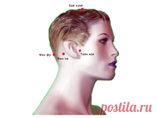 4 точки на голове, которые помогут снизить кровяное давление без таблеток | Доброго здоровья! | Яндекс Дзен