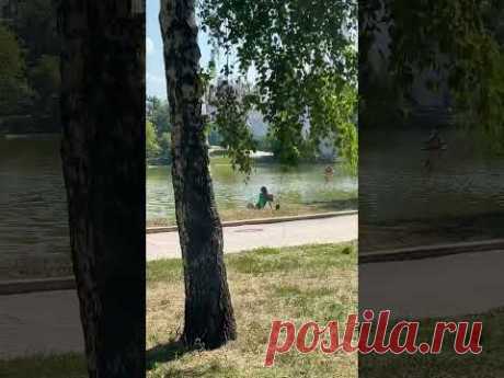 Пленэр сегодня