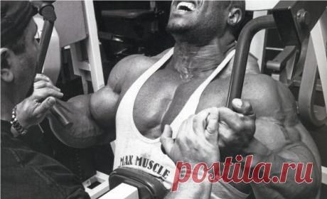 Силовой тренинг груди. Базовый комплекс