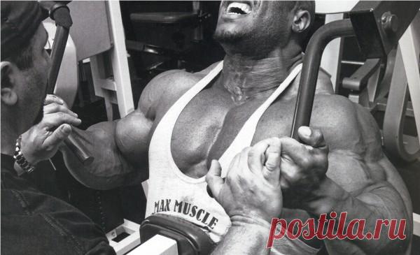 Силовой тренинг груди. Базовый комплекс