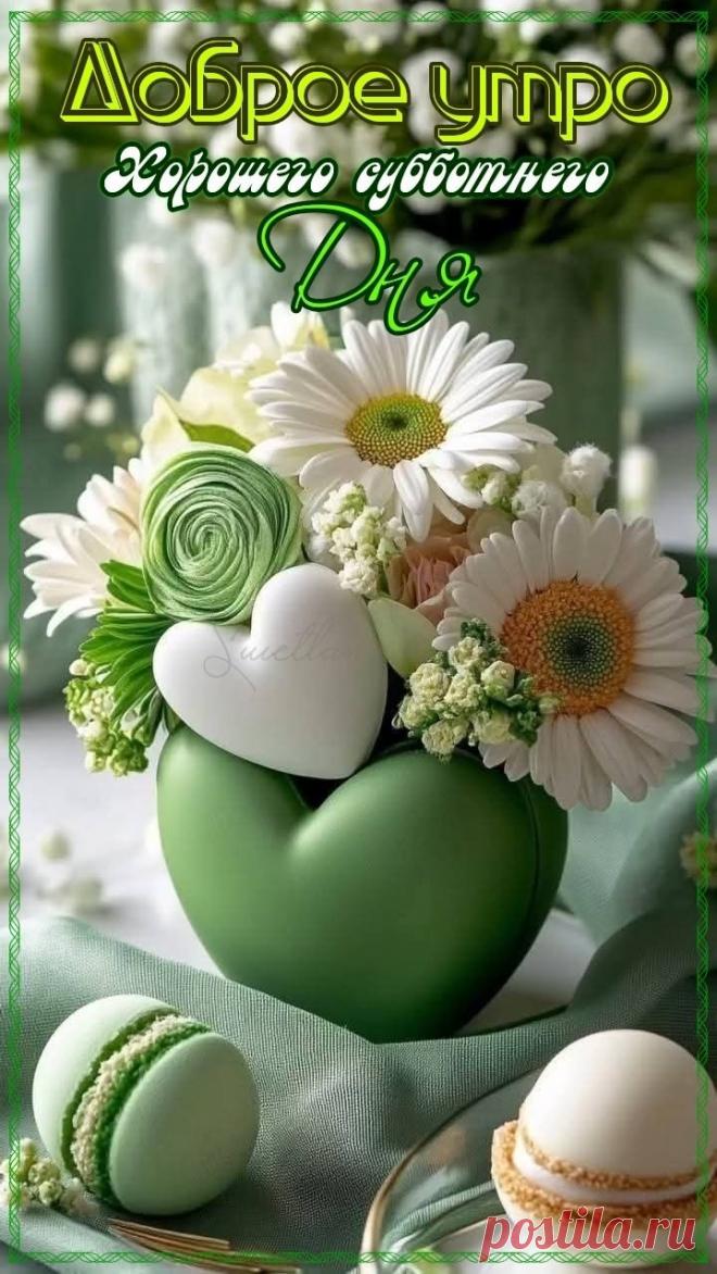 С добрым утром Привет Здрасте Добрый день