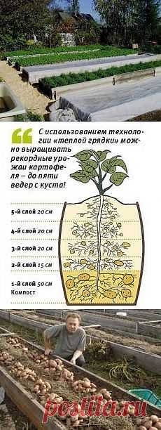Почта — osdima@live.ru