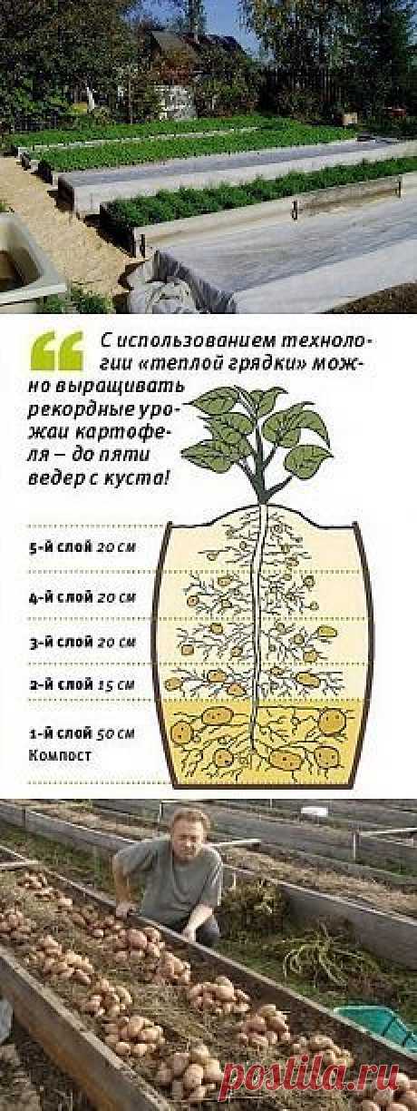 Почта — osdima@live.ru