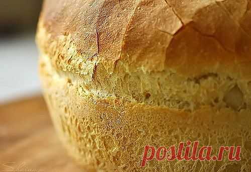 (24) Одноклассники