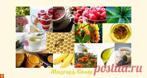 Как наши бабушки лечили бронхит »