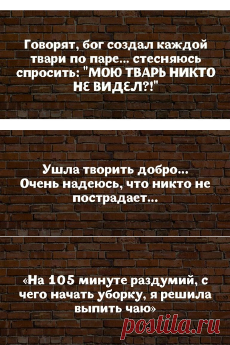 18 высказываний от мудрых женщин с юмором