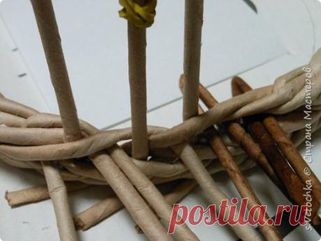 «Изида» и «Розга», тонкости загибки | oblacco