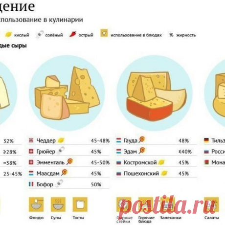 А вы хорошо разбираетесь в сырах? Вот табличка в помощь