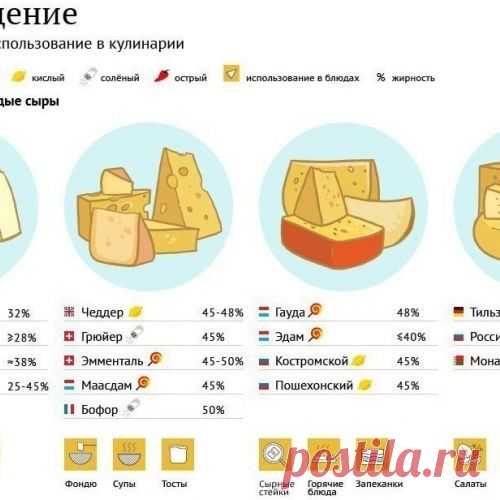 А вы хорошо разбираетесь в сырах? Вот табличка в помощь