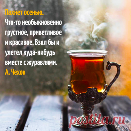 осень-осень, ну давай у листьев спросим где тот май, вечный май