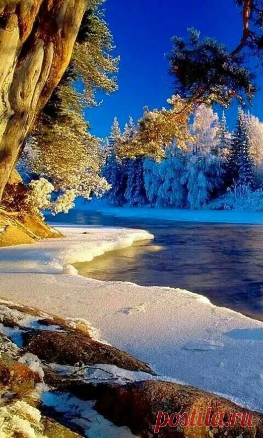Google+