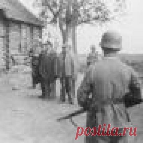 «Осенью 41-го пришли немцы…» Оккупация: из воспоминаний старожилов Тверской (Калининской) области.