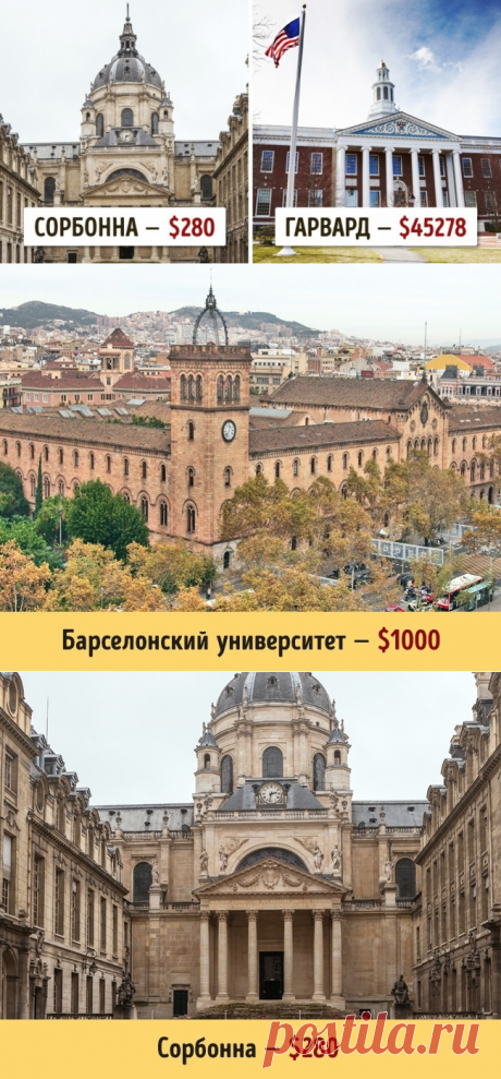 Сколько стоит образование в разных университетах мира