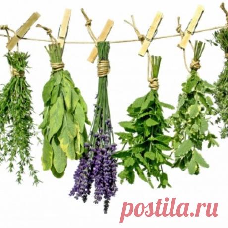 СПРАВОЧНИК БЛАГОВОНИЙ