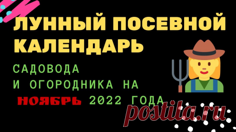 Лунный посевной календарь садовода и огородника на ноябрь 2022 года Лунный посевной календарь садовода и огородника на ноябрь 2022 года https://youtu.be/RPM22k2laNI__________________Узнайте первым, о чем говорит лунный посевн...