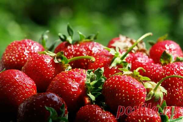 Клубничное варенье как мармелад: 5 необычных рецептов для ценителей