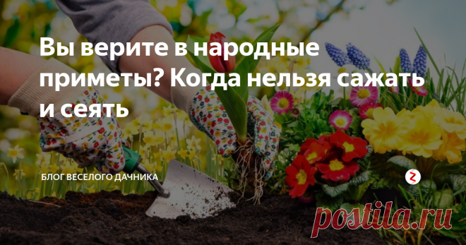 Вы верите в народные приметы? Когда нельзя сажать и сеять Народные приметы - дело лично каждого, но если вы им верите, то вот вам список важных для огородника примет.
1. На Вербной неделе всреду и субботу нельзя сажать картофель - будет портится.
2. В раннюю весну следует сажать капусту и лук на 4 неделе Великого поста, можно и на 5.
3. Если весна поздняя, то посев осуществляют в последние дни Страстной недели. Особенно благоприятна суббота.