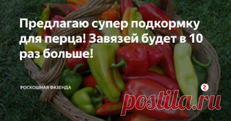Предлагаю супер подкормку для перца! Завязей будет в 10 раз больше! Перец - полезный и вкусный овощ, который выращивают многие огородники. Он неприхотлив в уходе, и не требует особого ухода. Но для того чтобы перец одарил нас щедростью своих плодов, необходимо культуру правильно и во время подкормить.