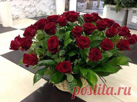 Красивые Цветы  Для Тебя