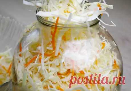 Закваска капусты до хруста: кладем в банку без укуса и сахара - Steak Lovers - медиаплатформа МирТесен