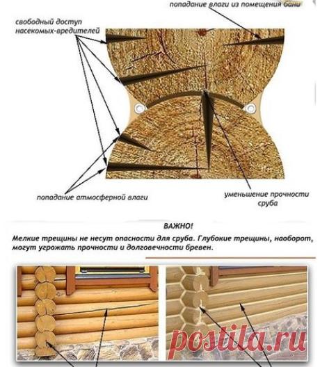 Трещины в бревнах (брусьях) сруба, профилактика