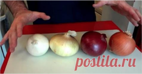 ТОЛЬКО 3% ХОЗЯЕК ЗНАЛИ ОБ ЭТОЙ ХИТРОСТИ! Я ДАЖЕ НЕ ПРЕДСТАВЛЯЛА СЕ ... | Golbis