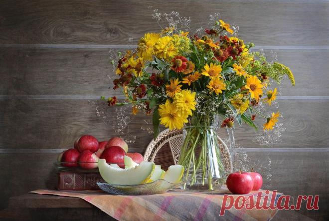 Яндекс.Фотки