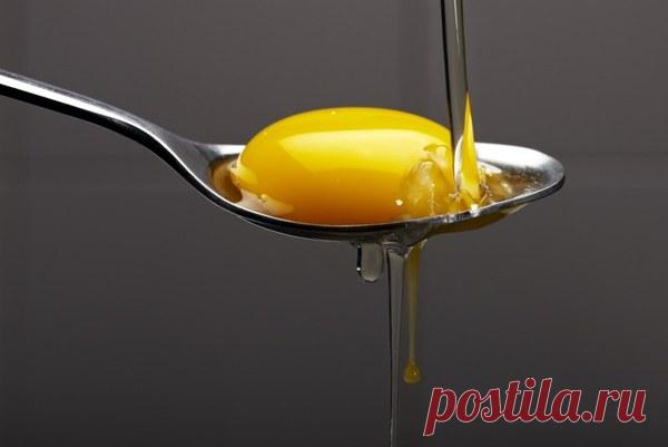 Яичный желток для волос: видео-инструкция по применению своими руками, особенности масок для роста, цена, фото